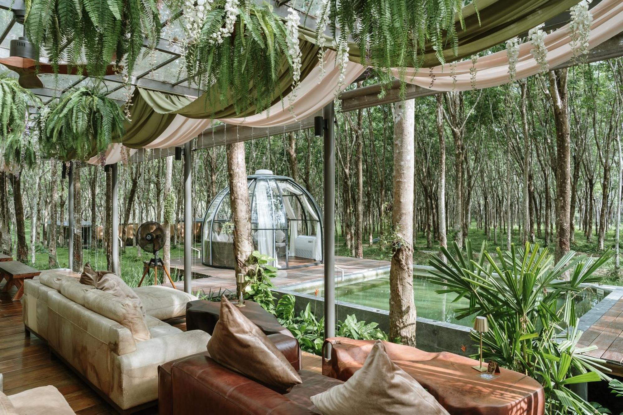 Hotel Timber Society Boutique Hideaway Phuket