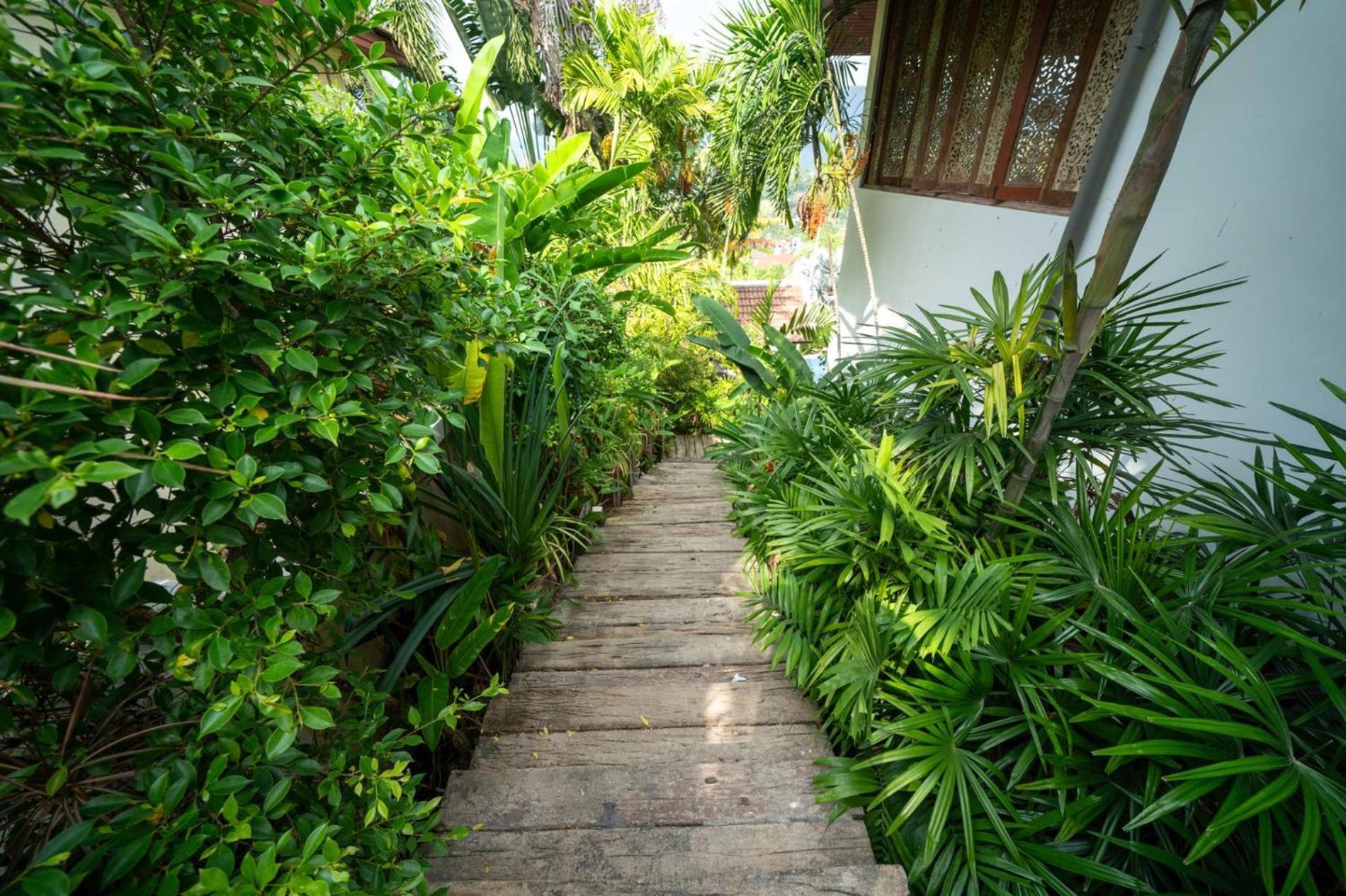 Kinnaree Grand - Pool, Panoramic Views, Maid * Kamala Beach