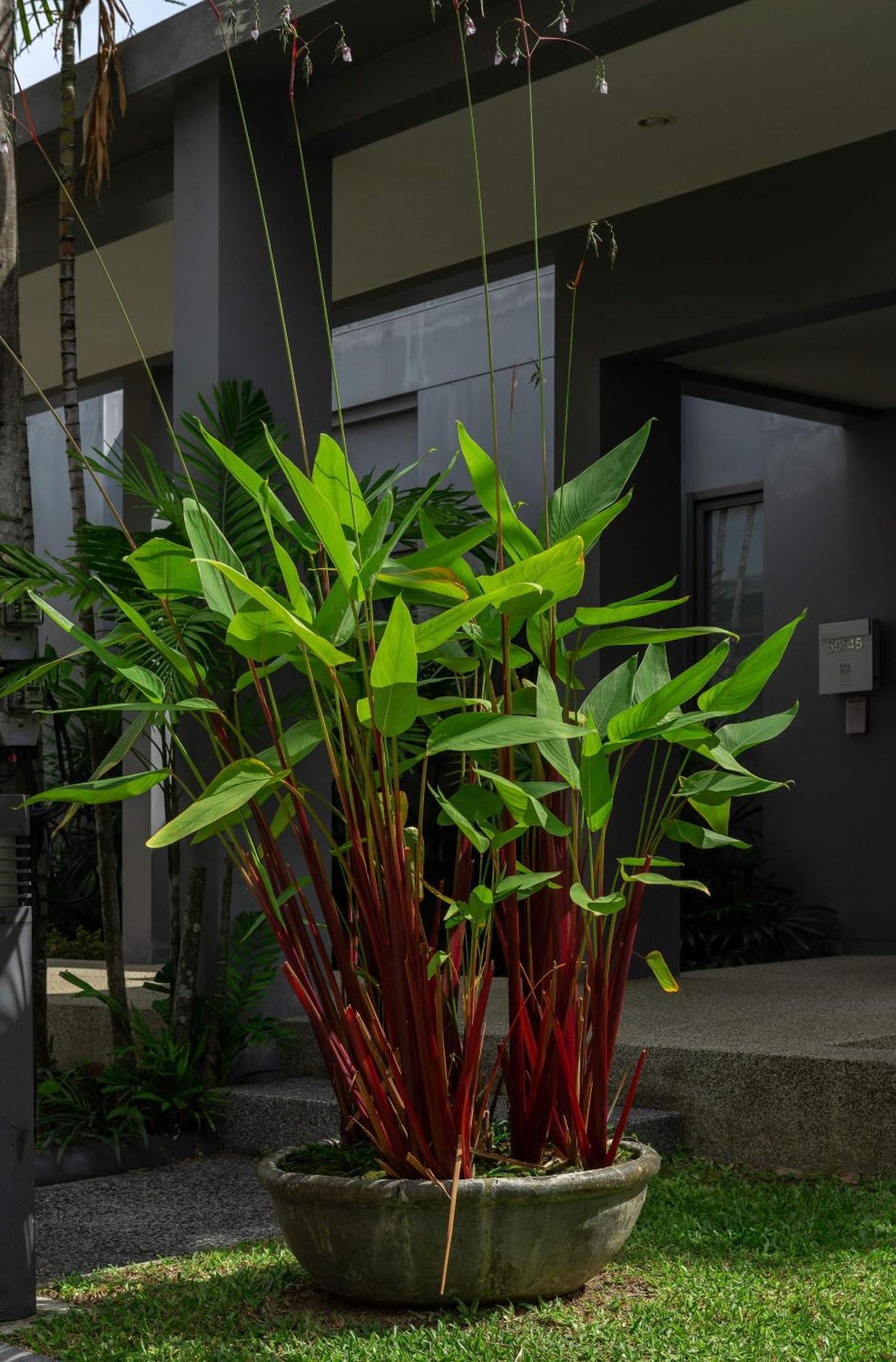 Pousada Aruhe | 2 Bedroom Private Pool In Popular Onyx | 3 Min To Naiharn