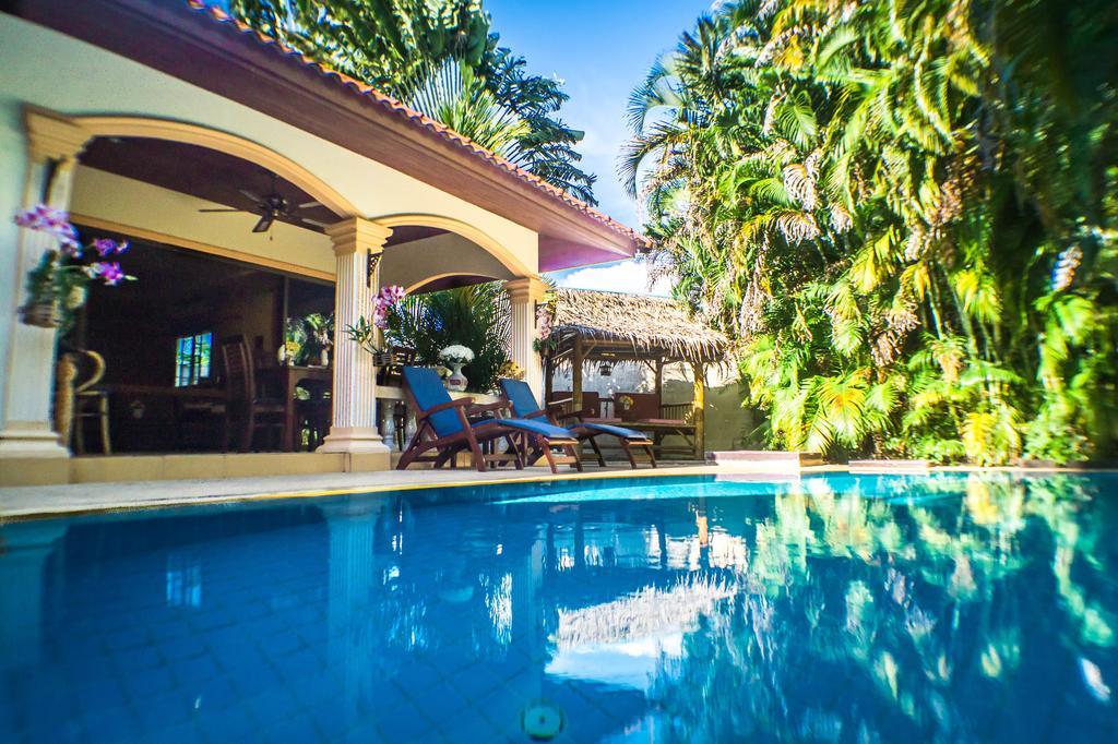 Coconut Paradise