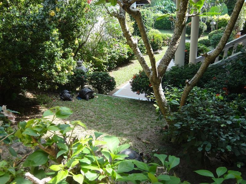 Holiday Village And Natural Garden Hotel 2*