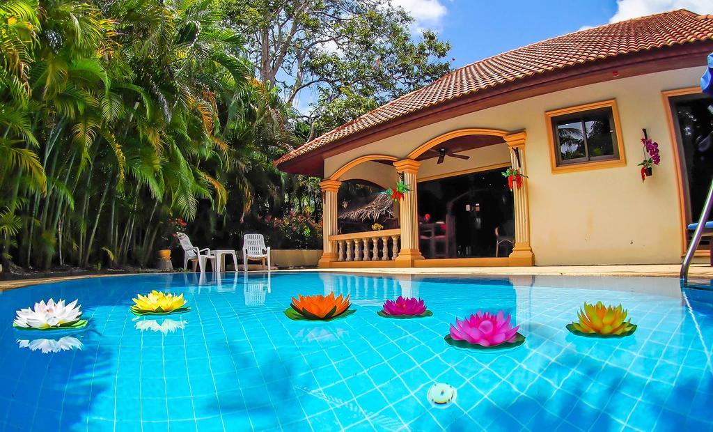 Coconut Paradise