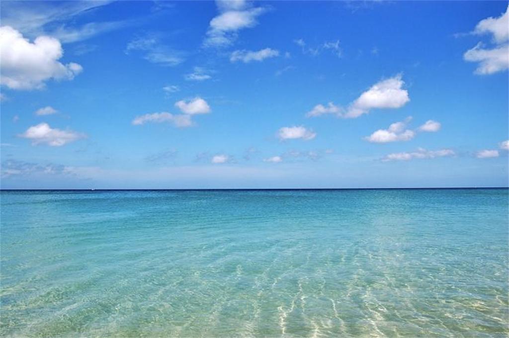 Apartment Accenta 1 Bedroom Sea View