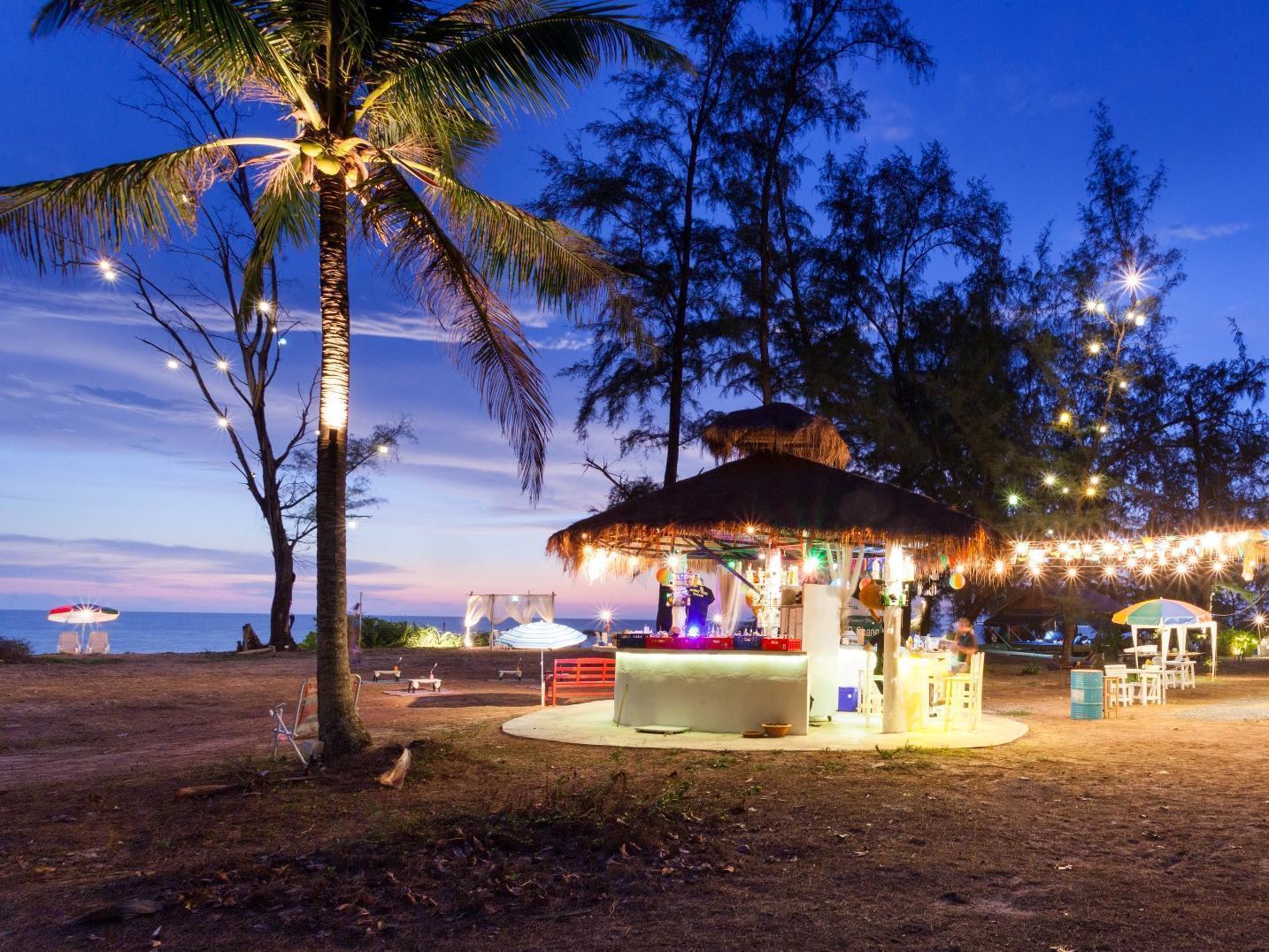 Micky Monkey Phuket Maikhao Thailand *