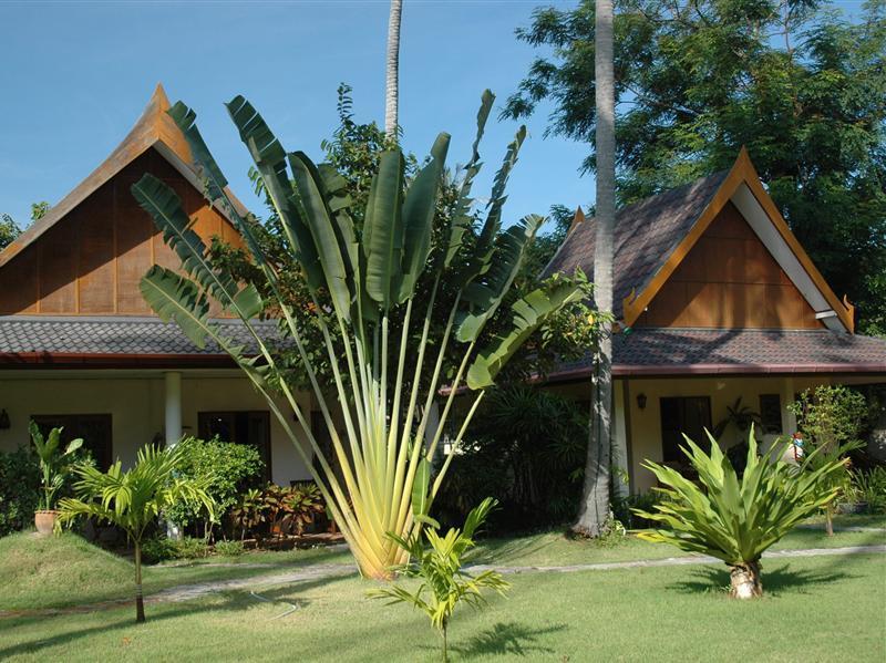Resort Palm Garden
