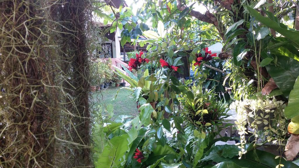 Guest house Wattana Nai Yang