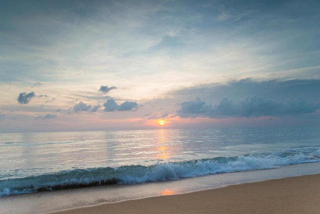 Luxury Oceanfront_pool Access *