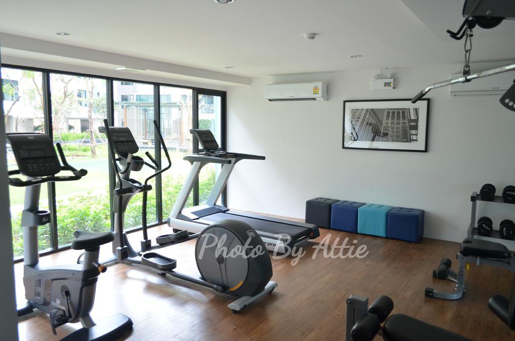 Apartamento 1 Bedroom Centrio Near Festival In Town *