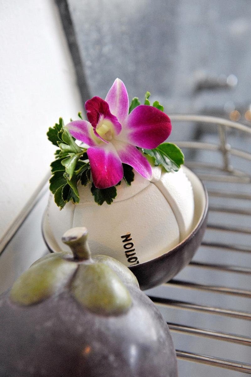 Mangosteen Ayurveda & Wellness - Sha