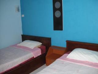 Pineapple Guest house *