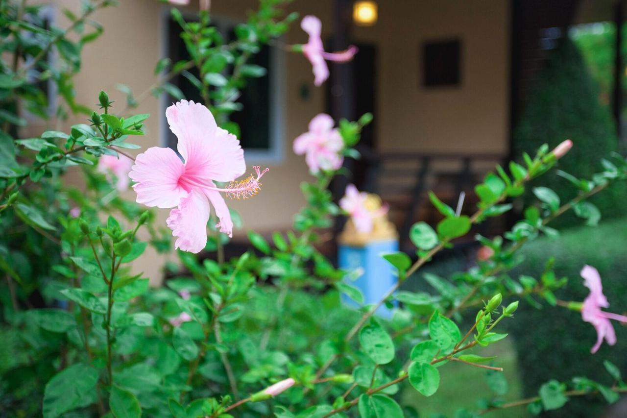 Siray Resort