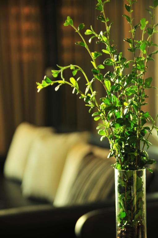 The Baycliff Residences Hotel 4*