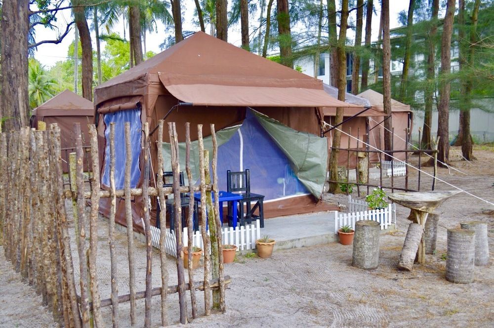 Micky Monkey Phuket Maikhao Thailand Mai Khao