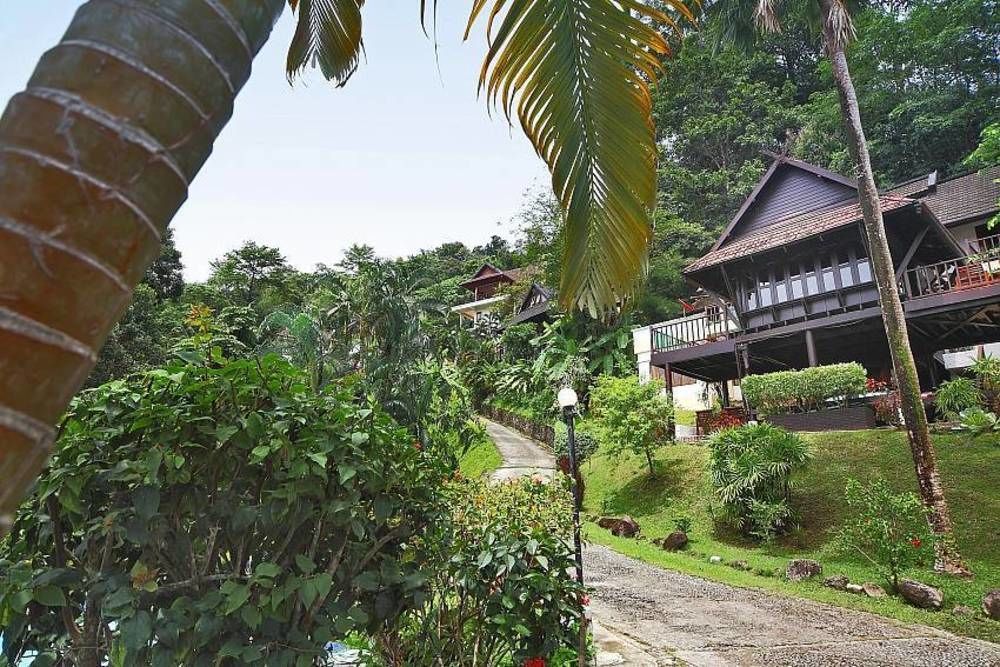 Hill Estate 3 Patong