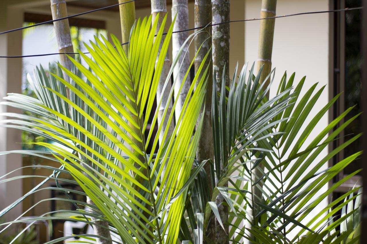 Family Bungalow Ferienhaus *