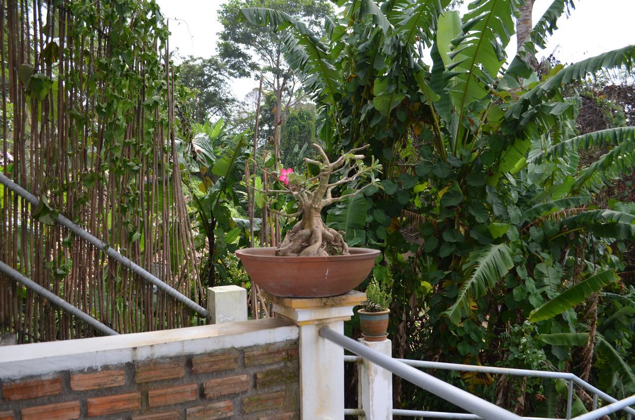 Baan Suan Aparthotel Patong