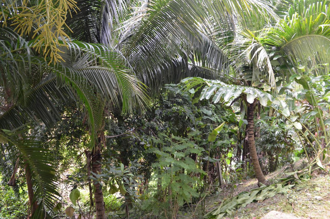 Baan Suan Patong