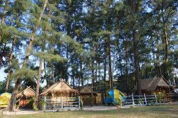 Micky Monkey Phuket Maikhao Thailand Vakantiehuis *