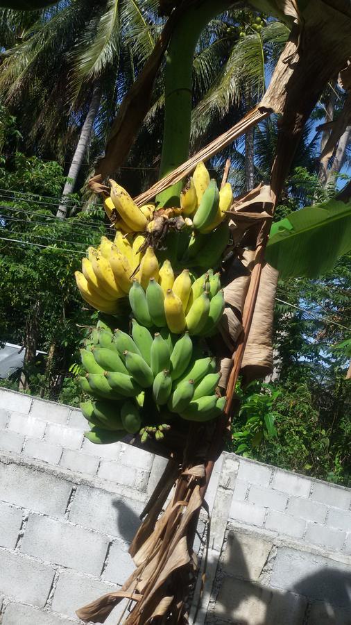Heimat Gardens 3* Phuket