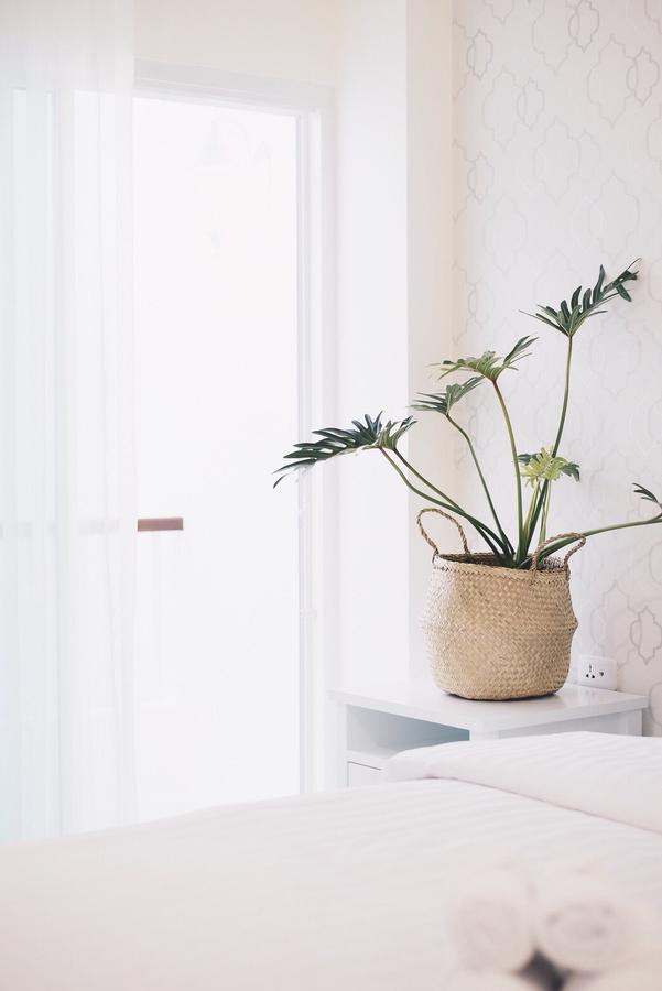 Albergue Shunli - Sha Extra