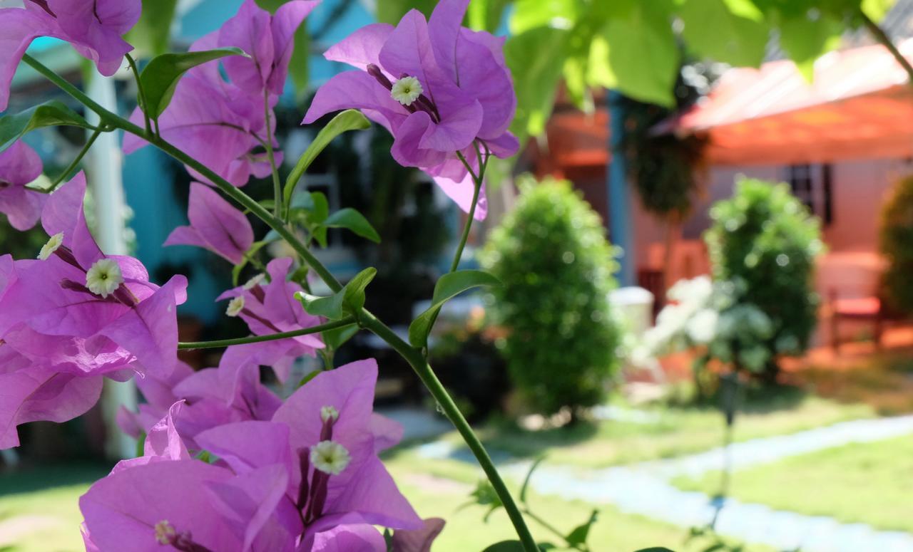 Guest house Blue Paradise *