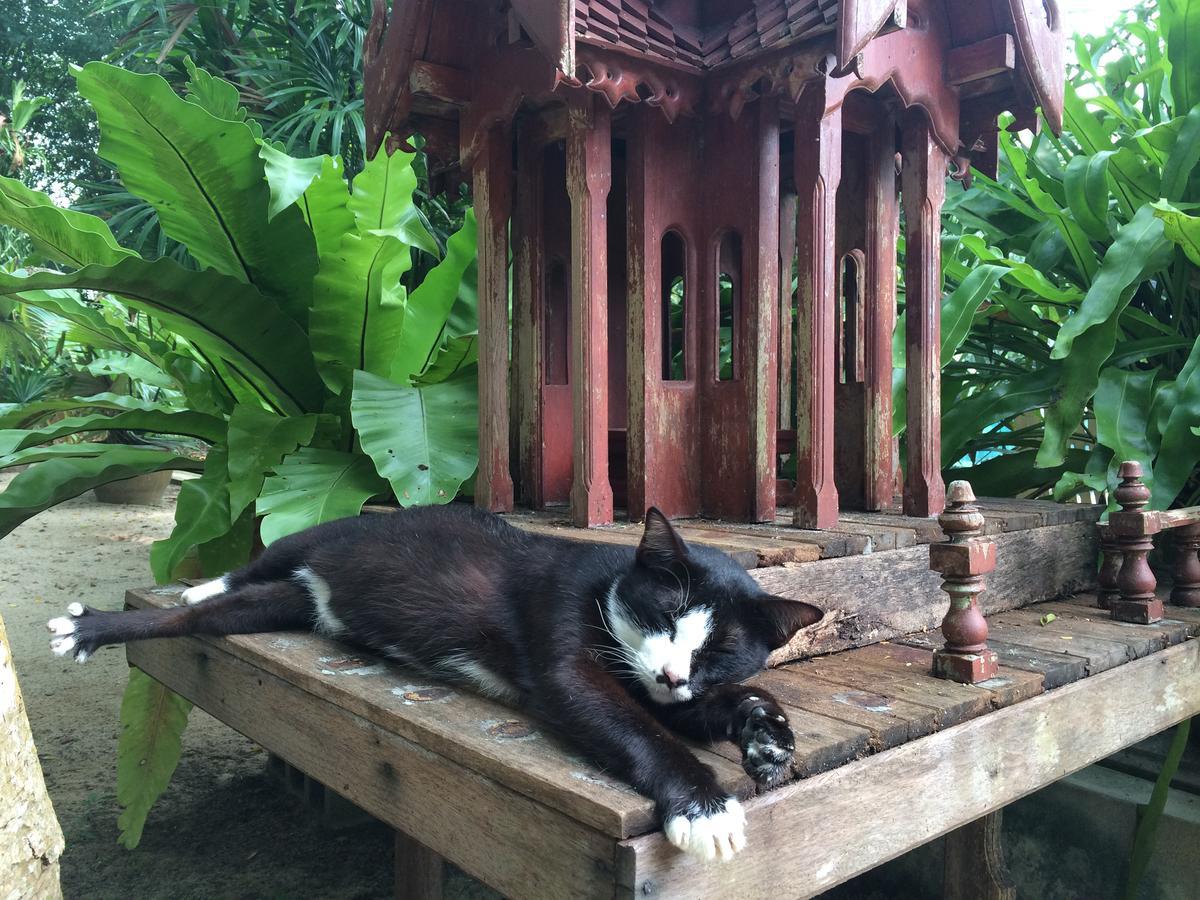 Fern House Retreat 3* Chalong
