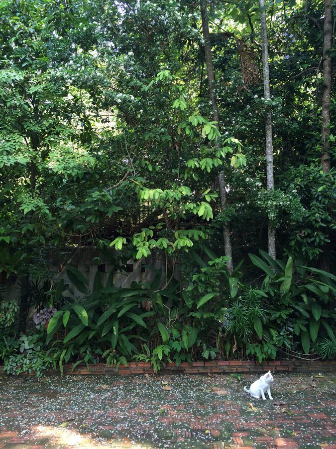 Fern House Retreat Resort