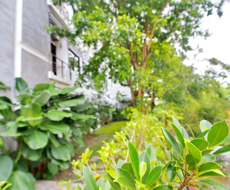 Hotel Ideo Phuket - Sha Extra