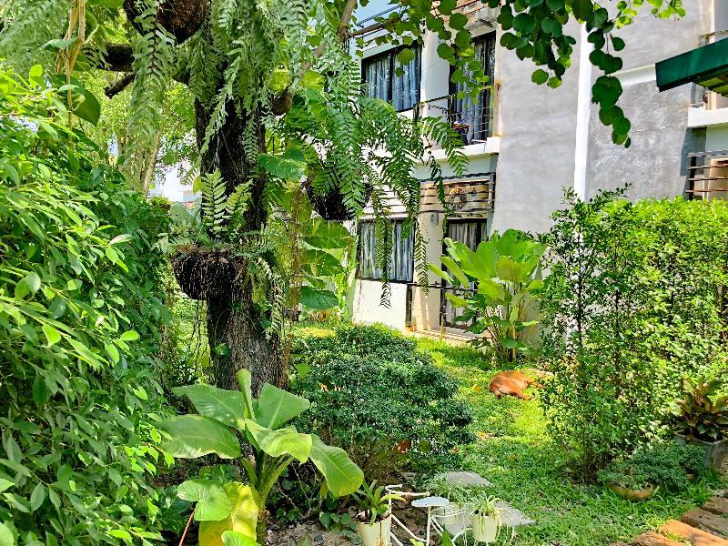 Ideo Phuket - Sha Extra 3* Nai Yang