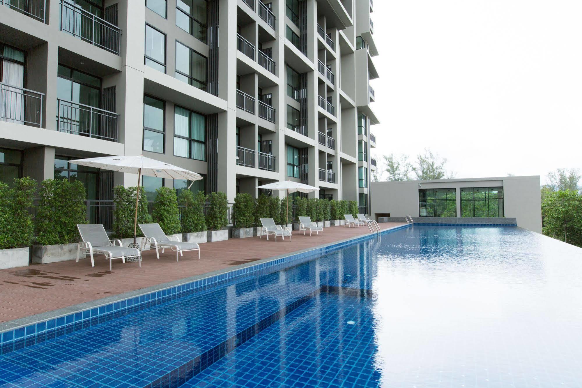 Sugar Palm 3*