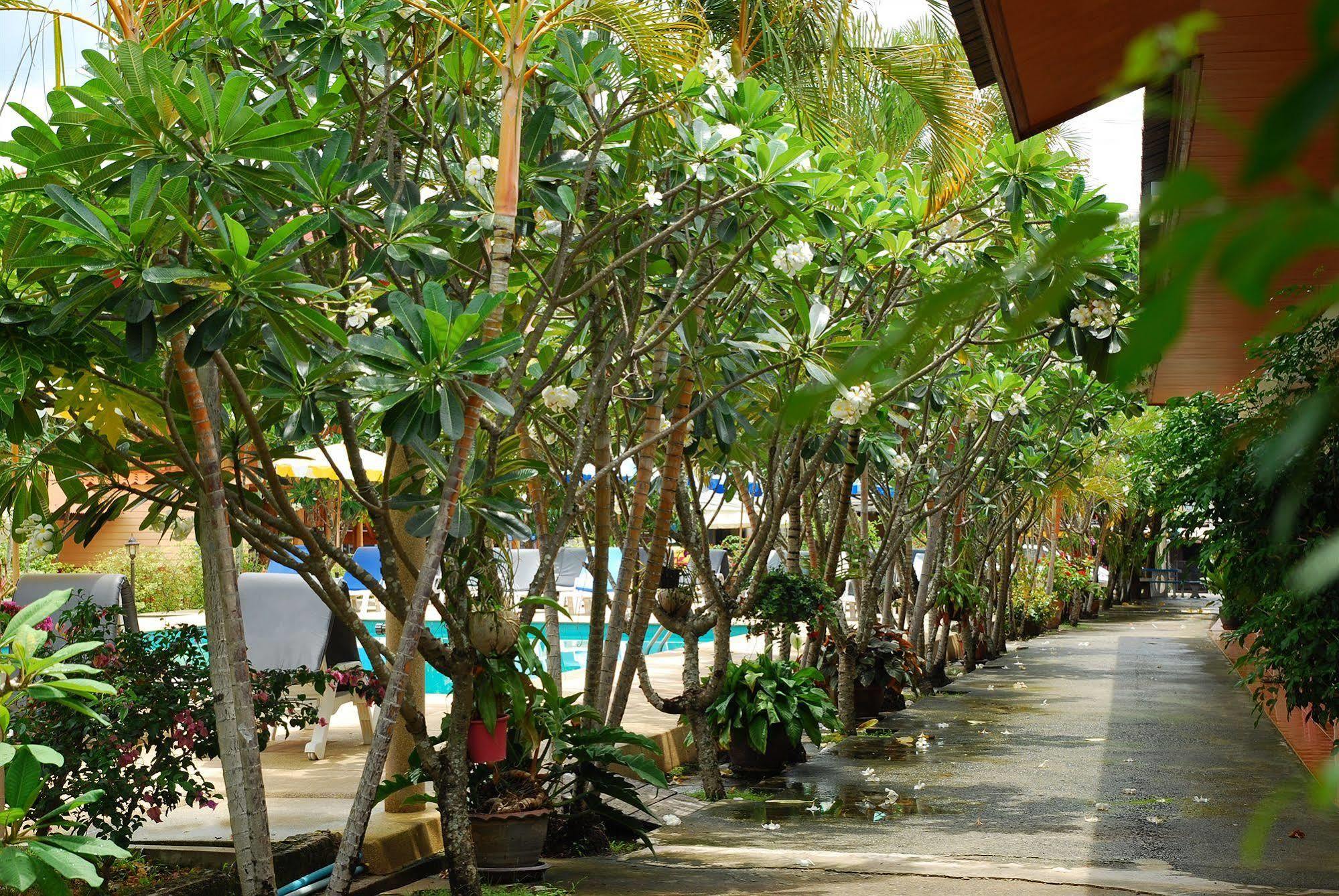 Ps 2 Phuket - Sha 3* Patong