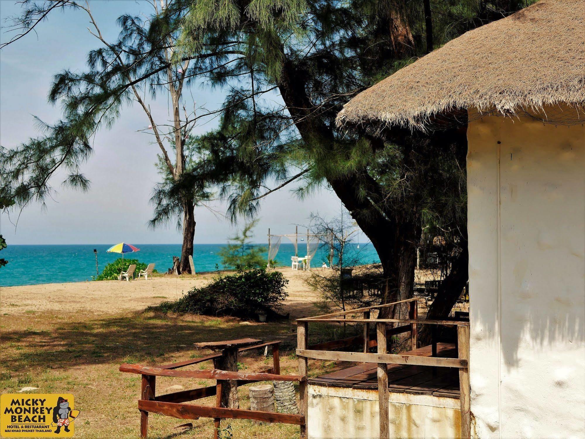 Micky Monkey Phuket Maikhao Thailand Mai Khao