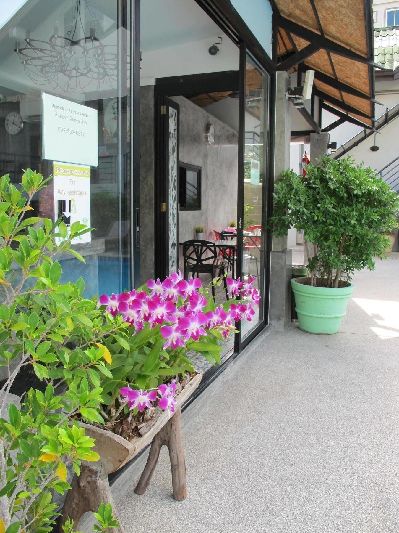 The Nest 3* Patong