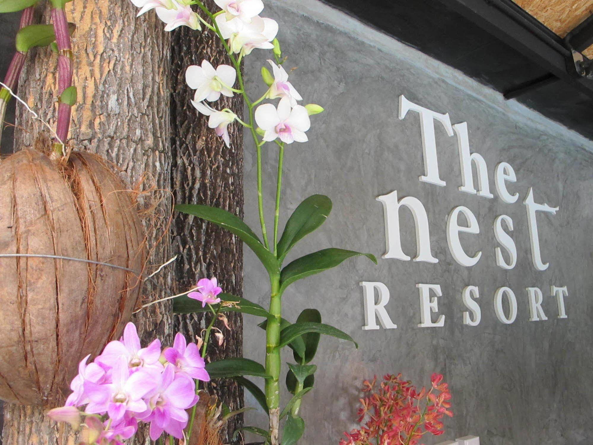 The Nest Tempat peranginan 3*