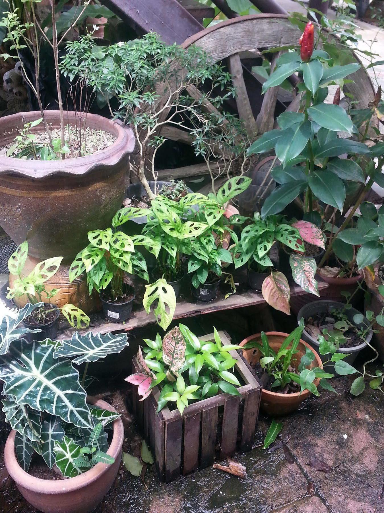 Gasthof Shanti Phuket