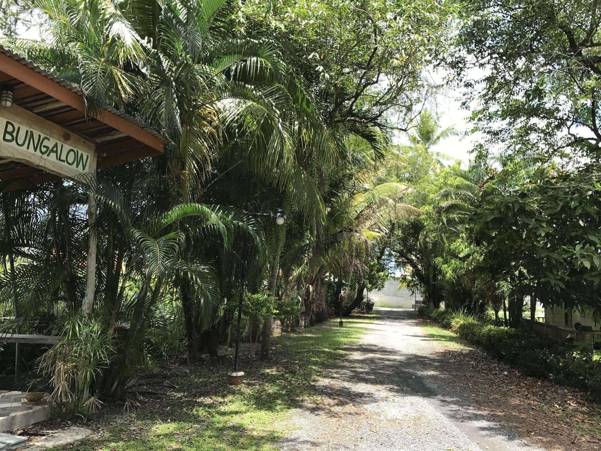 Coconut Guest house