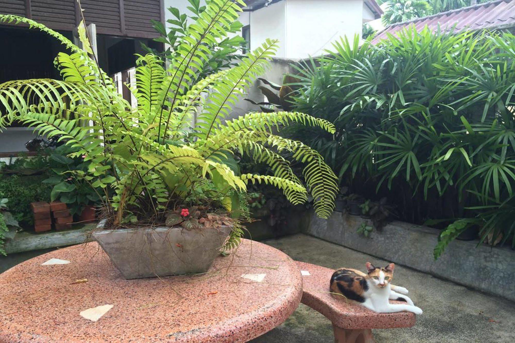 Fern House Retreat Resort