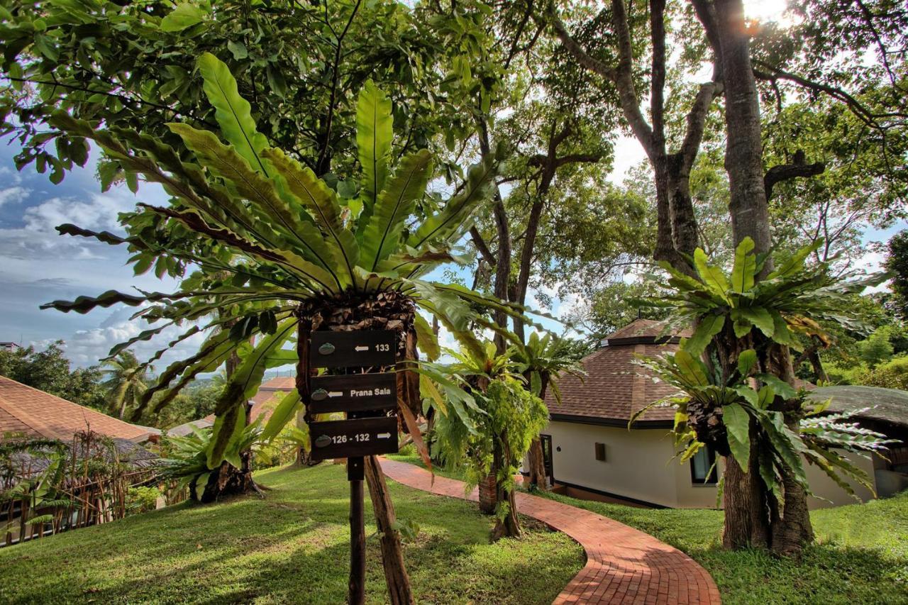 Resort Mangosteen Ayurveda & Wellness - Sha Rawai