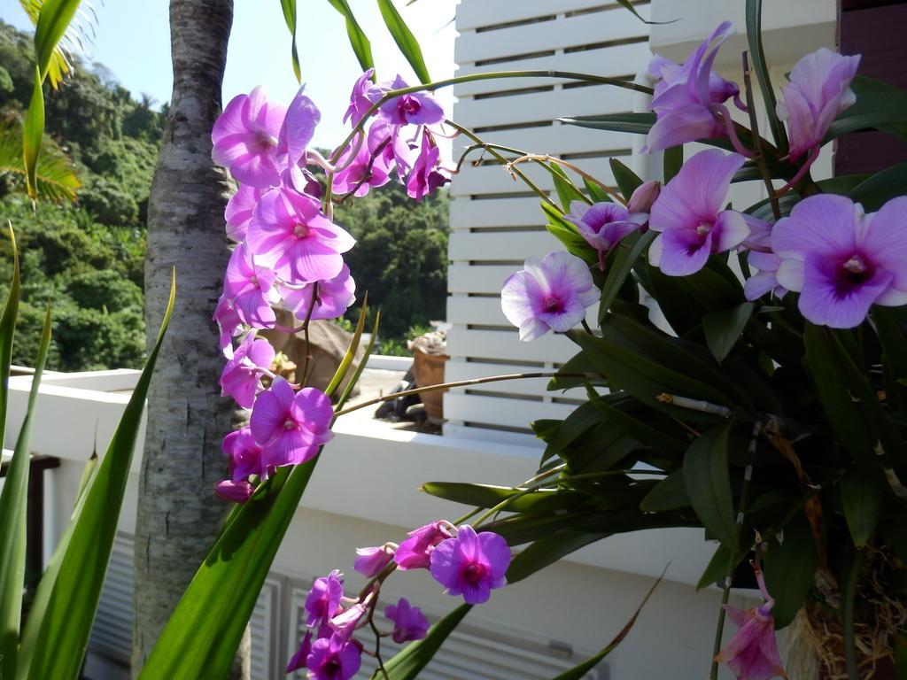 Phuket Kata Beach (Phuket)