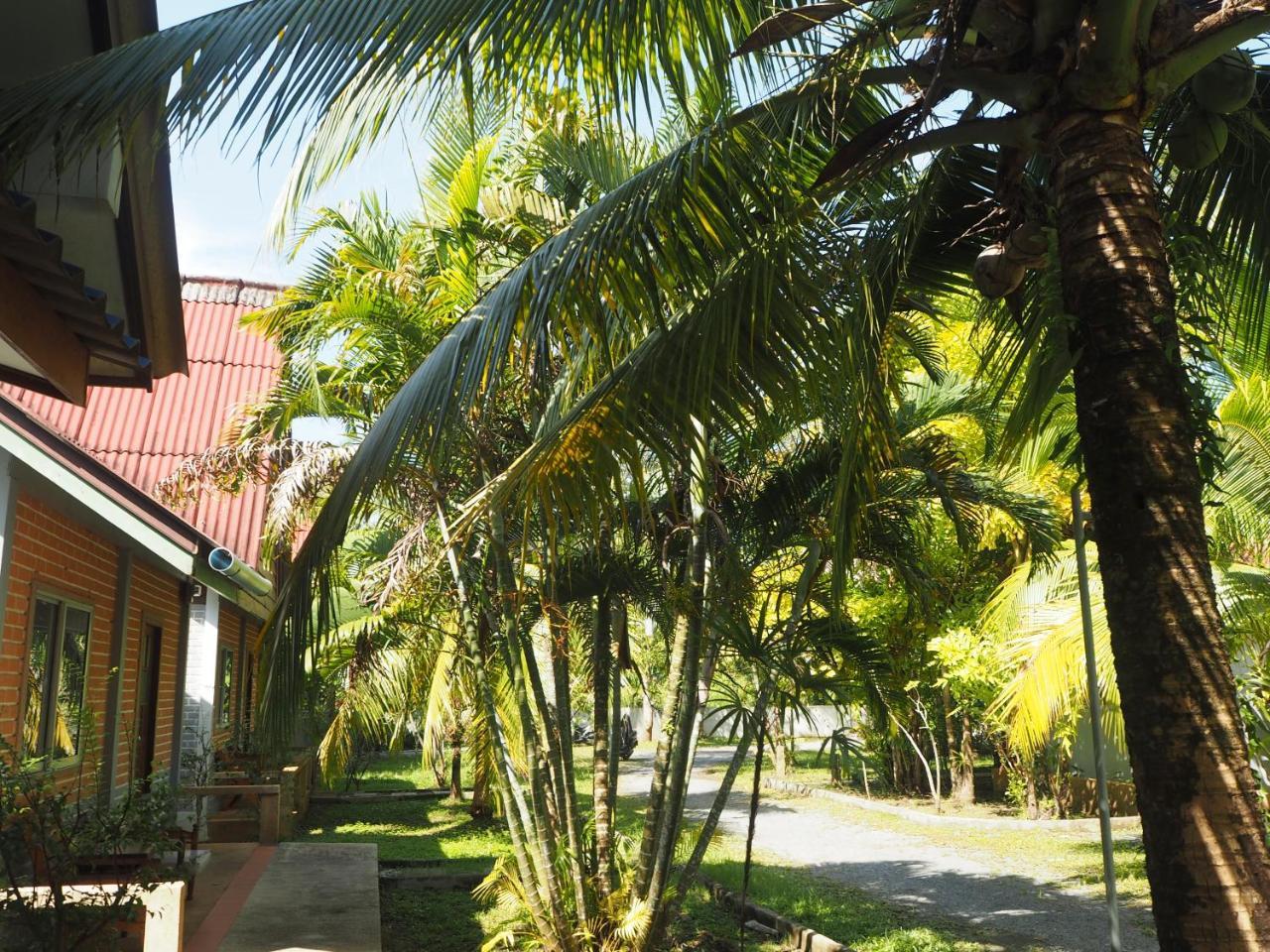 Coconut Guest house Nai Yang