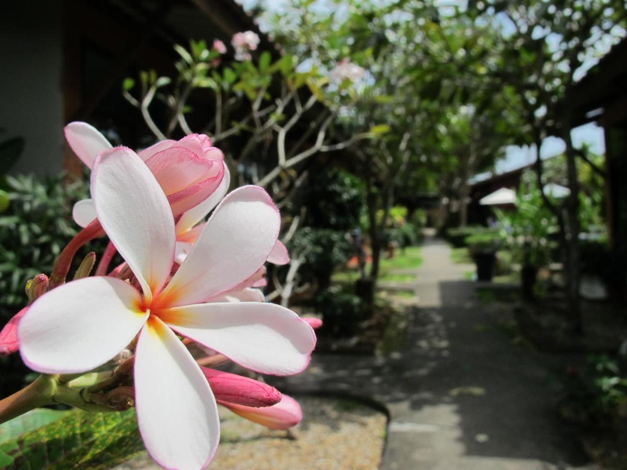 Hotel Phuket Siam - Sha 2*