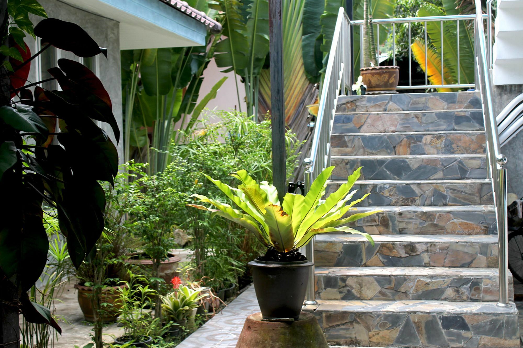 Hotel Bangwan 3*