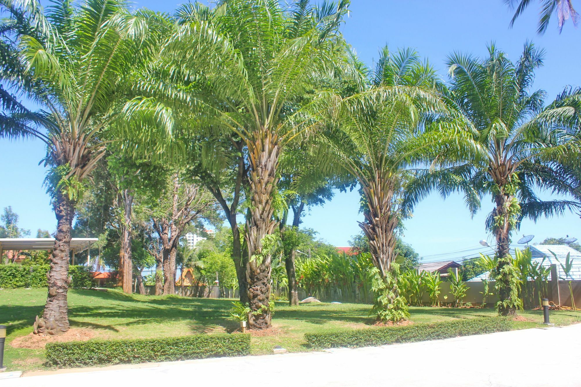 Apartment Karon Beach