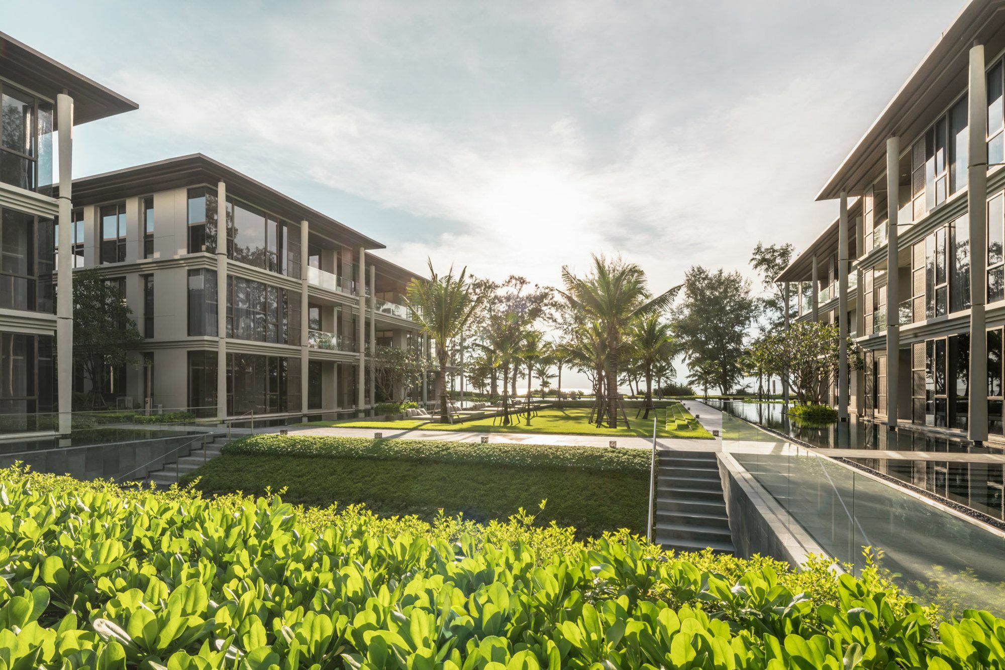 Baan
