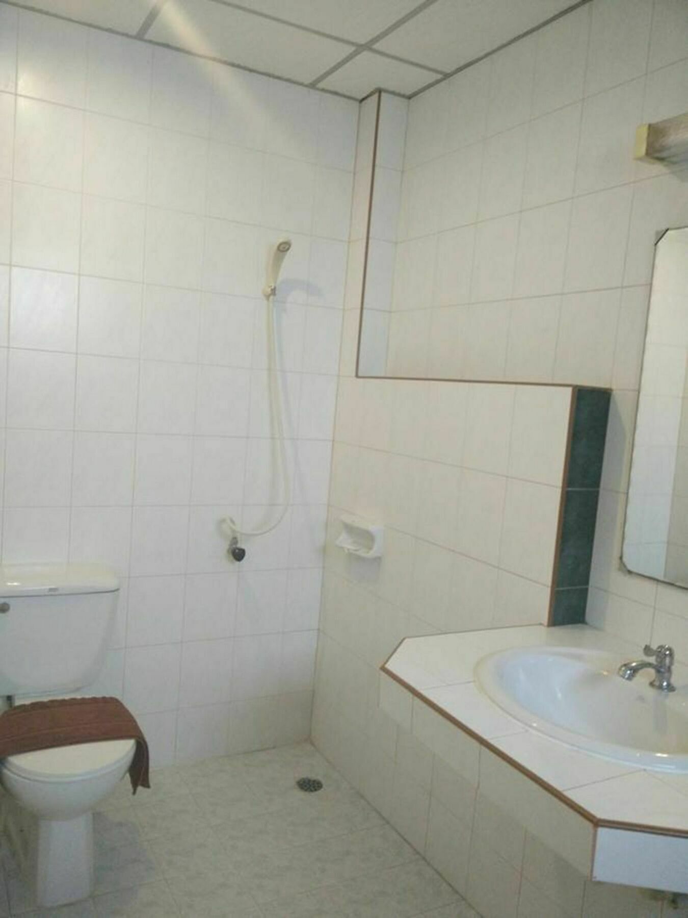 Hotel Ban Elephant Blanc