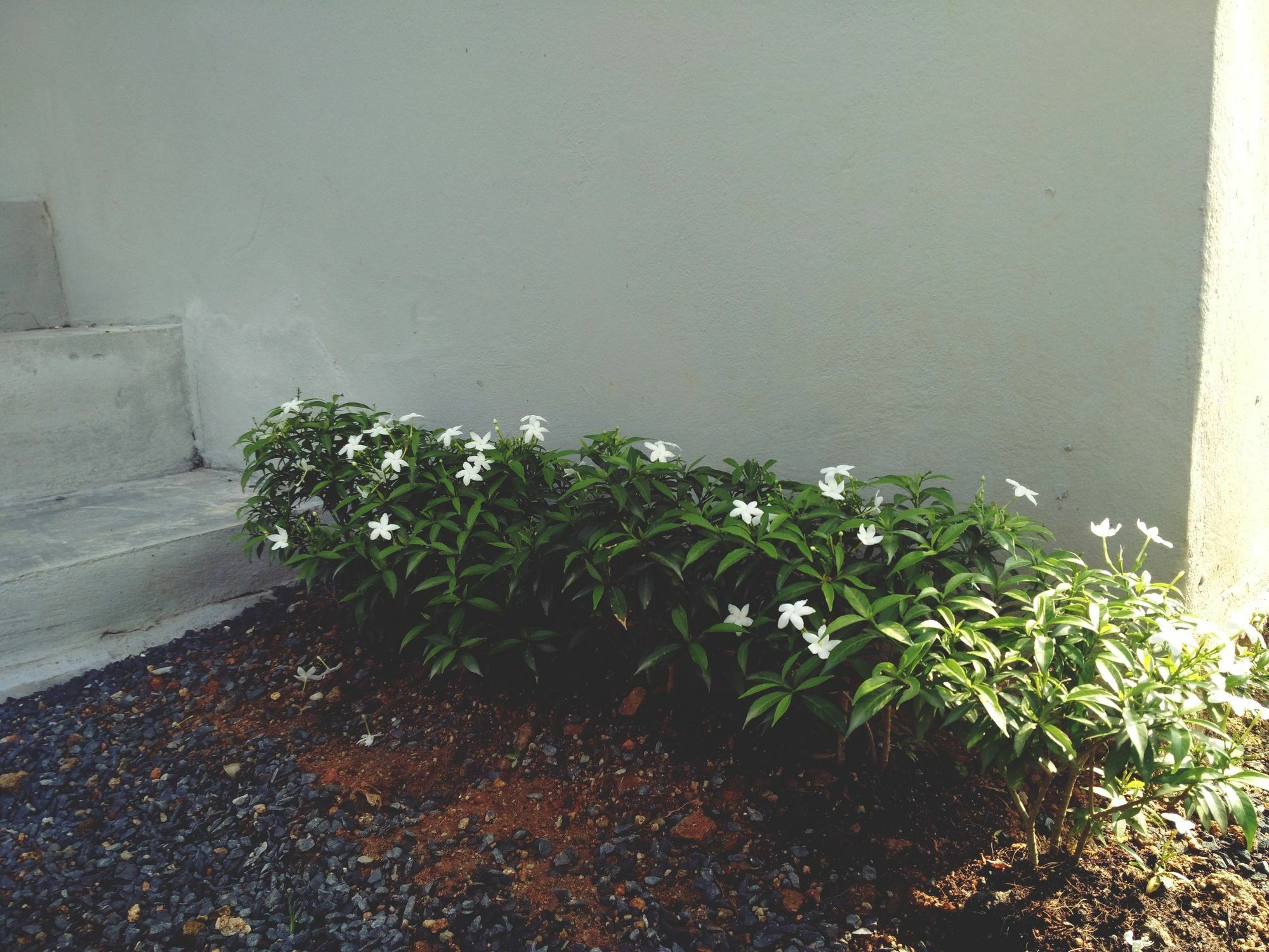 Baan Phunwanna Holiday home *