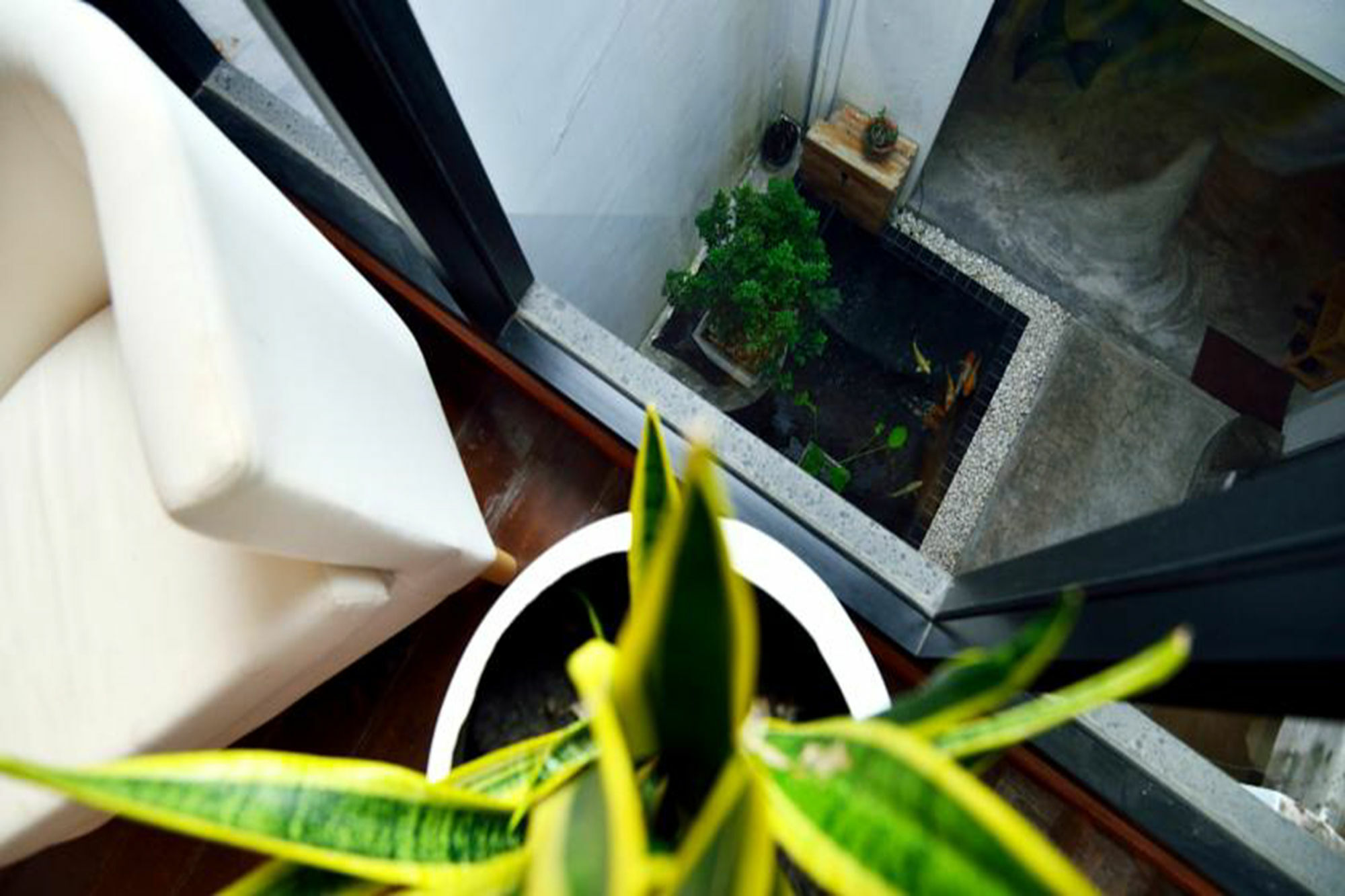 The Rommanee Boutique Guest house