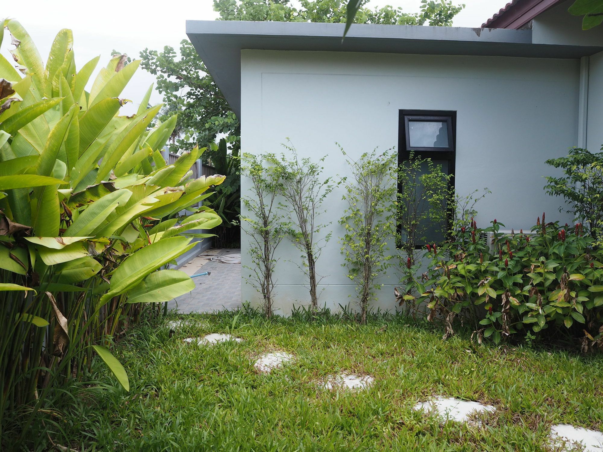 Triple Three Maikhao Villa