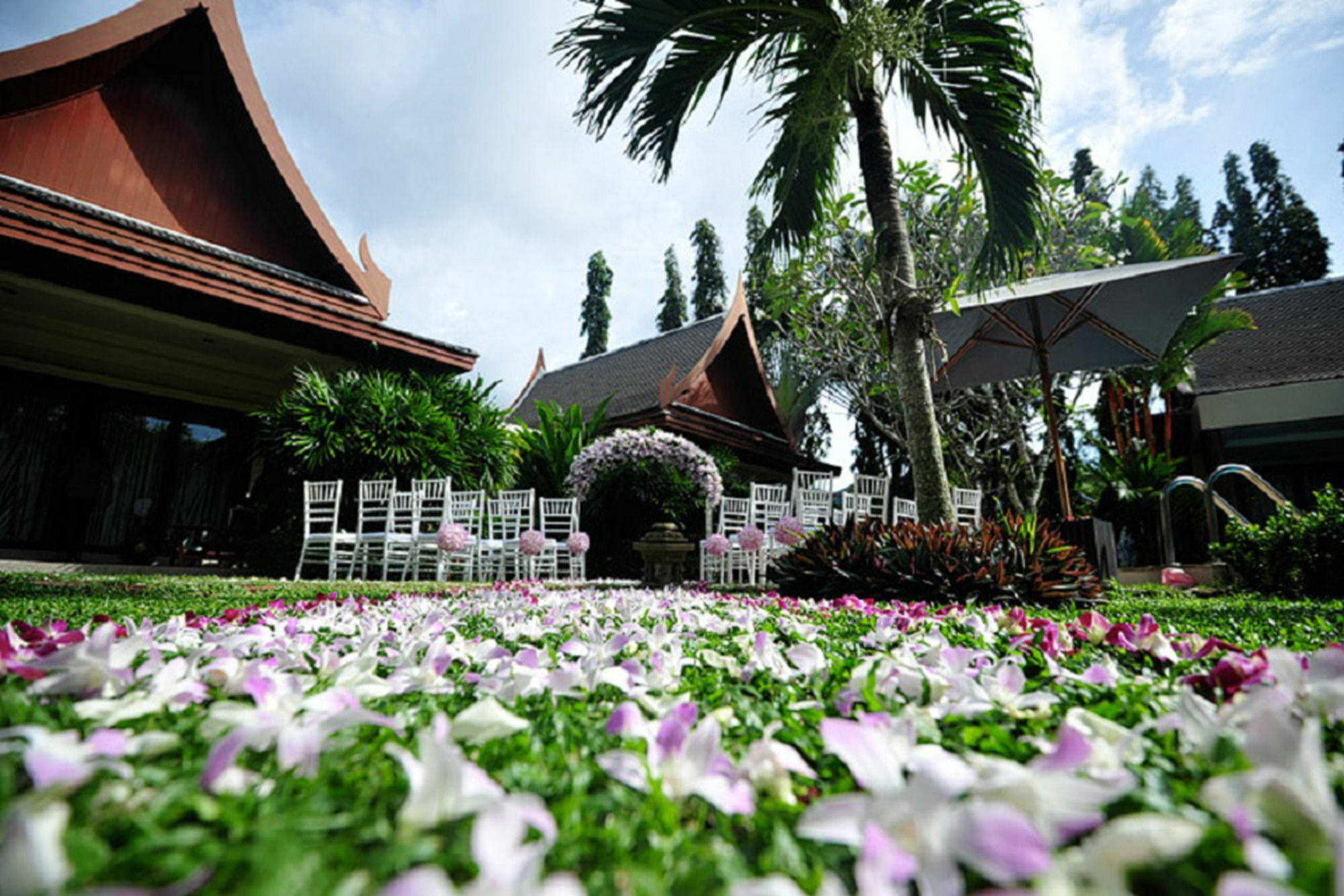 The Himmaphan *