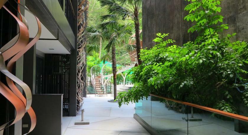 Emerald Terrace * Patong